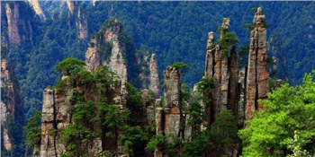 玻璃橋、天子山、猛洞河、 天門山、鳳凰古城 純玩4晚5日游F5