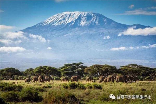 發現非洲體驗之旅肯尼亞10游