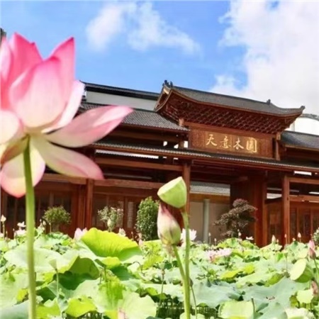 益陽天意木國木文化博物館、金家堤、一碑五館一日游