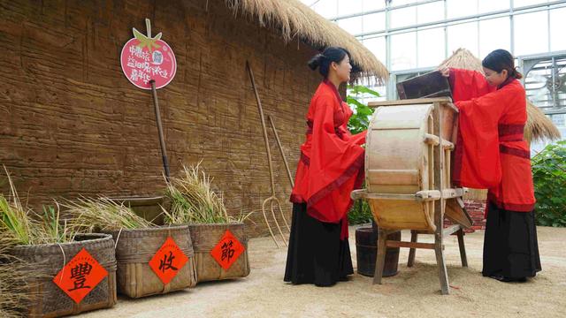 　益陽天意木國+現代農業嘉年華汽車一日游
